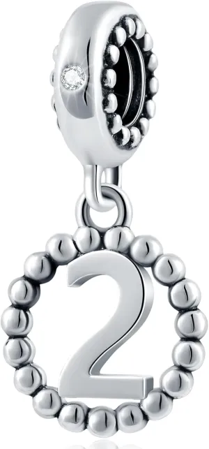 16,17,18,19,20,21,22,24,25,26,30,32,33,35,37,40,49,50,60,69,77,80,88,99 Number Charms 925 Sterling Silver Pendants Beads Fit Pandora Bracelets/Necklace, Dangling Dangle Charm for Birthday/Anniversary/Meaningful Numbers