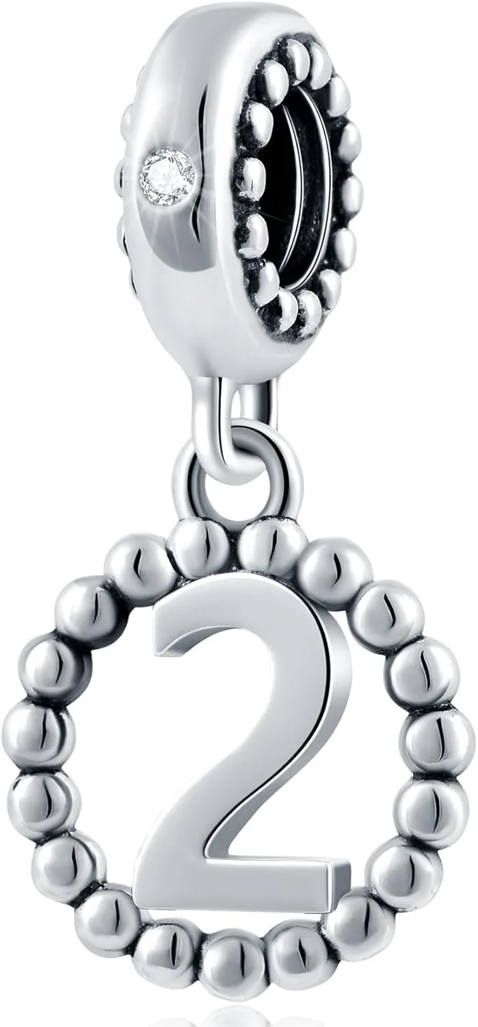 16,17,18,19,20,21,22,24,25,26,30,32,33,35,37,40,49,50,60,69,77,80,88,99 Number Charms 925 Sterling Silver Pendants Beads Fit Pandora Bracelets/Necklace, Dangling Dangle Charm for Birthday/Anniversary/Meaningful Numbers
