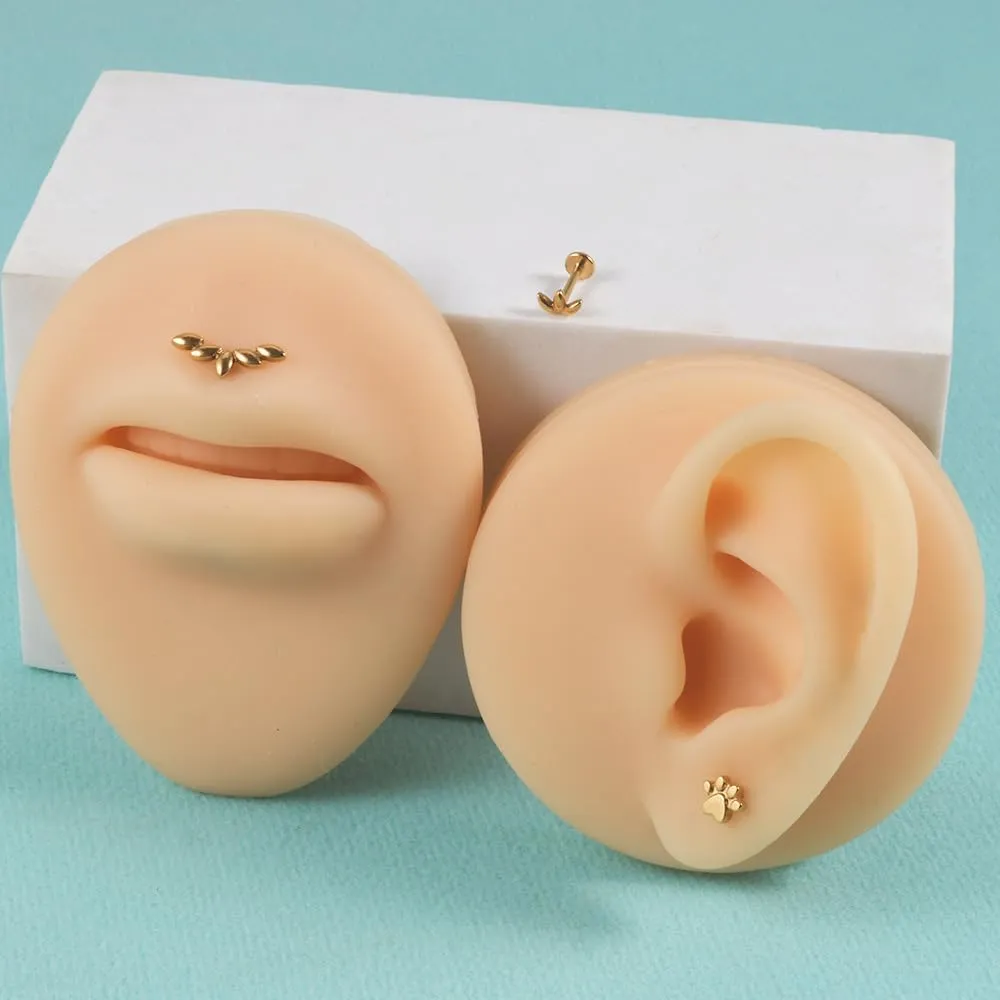 2Pcs 16G Stainless Steel Paw Cartilage Stud Earrings for Women Paw Print Flat Back Earrings Studs Labret Monroe Lip Rings Conch Helix Tragus Piercing Jewelry