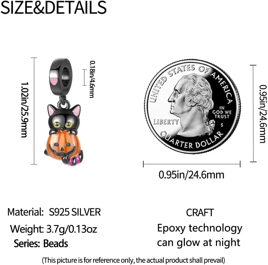 925 Sterling Silver Charms for Bracelets Necklaces Dangle Pendant With 5A Cubic Zirconias Bead Charm for Women DIY Jewelry