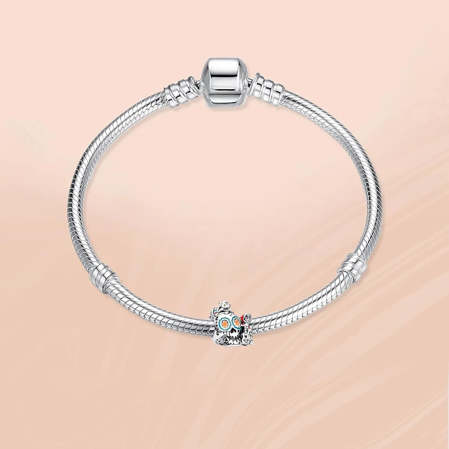 Annmors 925 Sterling Silver Charms for Bracelets and Necklaces Symbol of Color Dangle Pendants Beads Charms Jewelry Gift for Women