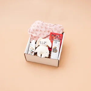 Baby Box MINI, Girl