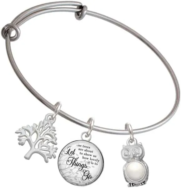 Delight Jewelry Silvertone 3-D Crystal Owl Silvertone Let Things Go Tree Charm Bangle Bracelet