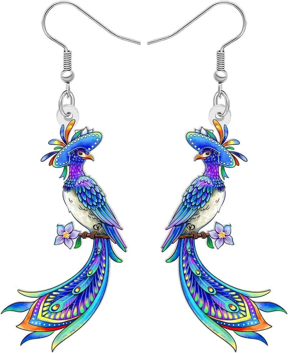 DUOWEI Acrylic Cute Colorful Bird Dangle Earrings Hypoallergenic Nature Inspired Animal Dangling Jewelry Gifts Ideas for Women Mom Birds Lovers Charms