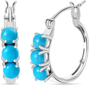 Shop LC Sleeping Beauty Turquoise 925 Sterling Silver Earrings for Women Jewelry Ct 1.48 Birthday Gifts for Women